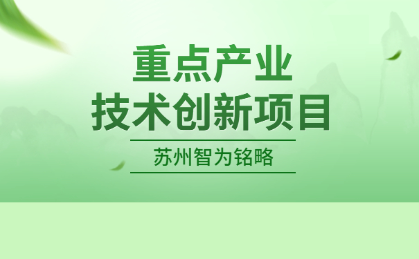 重點產業(yè)技術創(chuàng)新