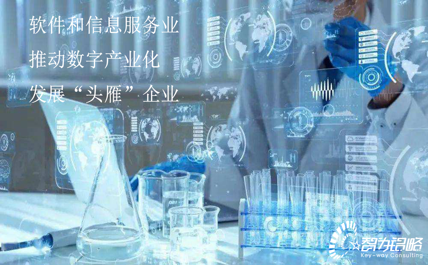 蘇州市軟件和信息服務(wù)業(yè)推動(dòng)數(shù)字產(chǎn)業(yè)化發(fā)展“頭雁”企業(yè)評(píng)估指引（試行）