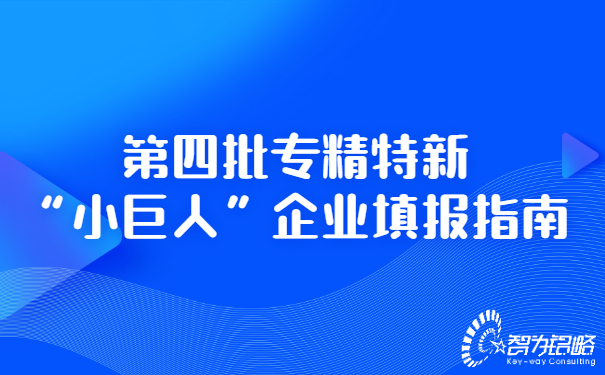 *四批專精特新“小巨人”企業(yè)填報指南.jpg