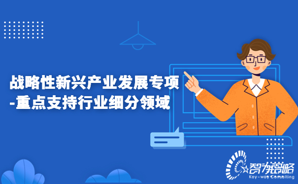 戰(zhàn)略性新興產(chǎn)業(yè)發(fā)展專項-重點支持行業(yè)細分領域.jpg