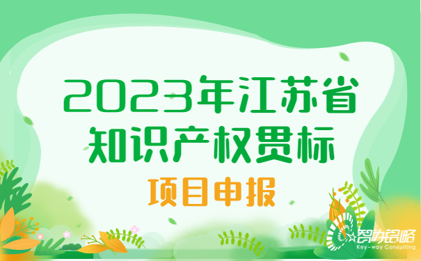 2023年江蘇省知識產(chǎn)權貫標項目咨詢