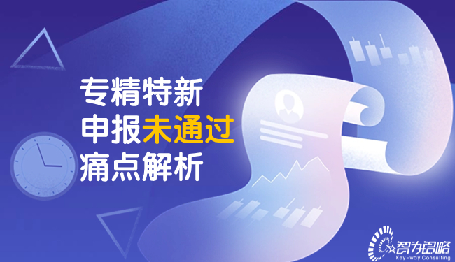 專精特新申報未通過痛點(diǎn)解析.jpg