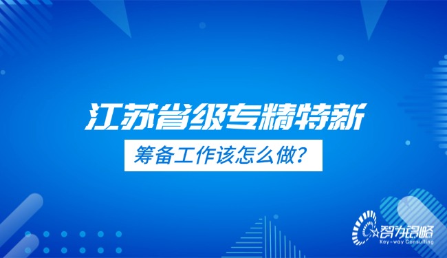 江蘇省級(jí)專(zhuān)精特新的籌備工作該怎么做？.jpg