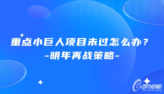 重點小巨人項目未過怎么辦？明年再戰(zhàn)策略.jpg