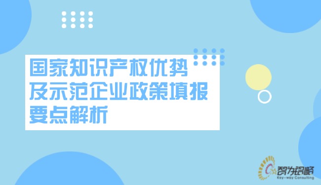 國家知識產(chǎn)權優(yōu)勢及示范企業(yè)政策填報要點解析.jpg