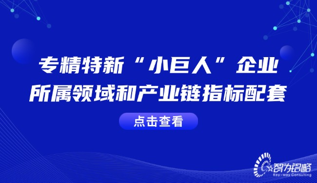 專精特新“小巨人”企業(yè)的所屬領(lǐng)域和產(chǎn)業(yè)鏈指標(biāo)配套.jpg