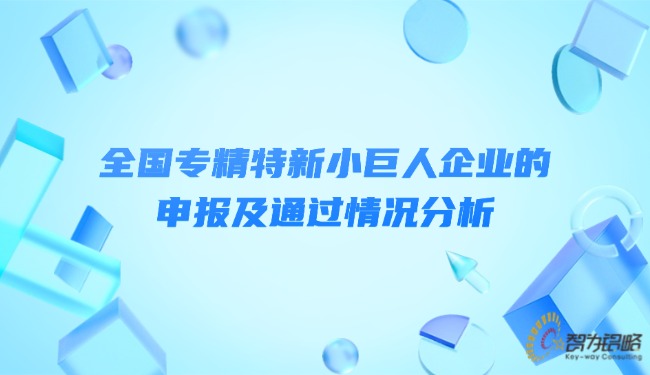 全國專精特新小巨人企業(yè)的申報(bào)及通過情況分析.jpg