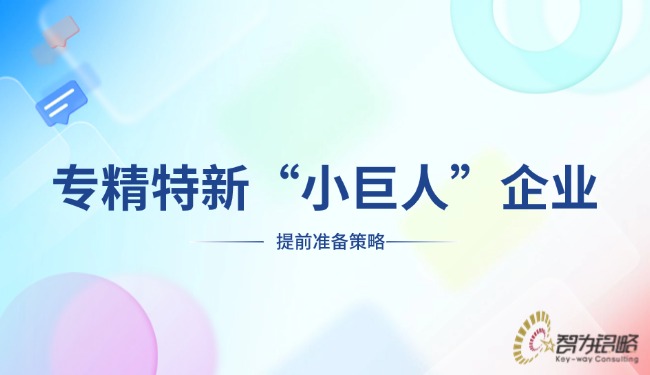 專(zhuān)精特新“小巨人”企業(yè)提前準(zhǔn)備策略.jpg