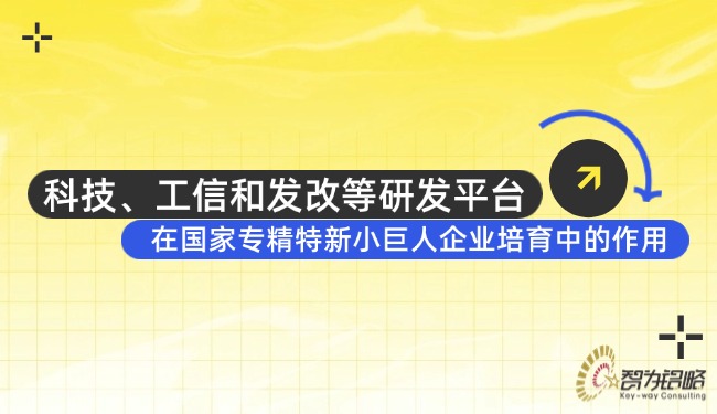 科技、工信和發(fā)改等研發(fā)平臺(tái)在國(guó)家專(zhuān)精特新小巨人企業(yè)培育中的作用.jpg