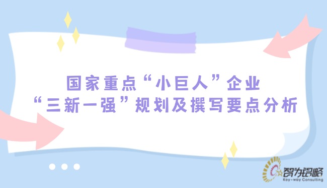 國(guó)家重點(diǎn)“小巨人”企業(yè)“三新一強(qiáng)”規(guī)劃及撰寫要點(diǎn)分析.jpg