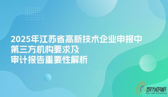 2025年江蘇省高新技術(shù)企業(yè)申報中*三方機構(gòu)要求及審計報告重要性解析.jpg